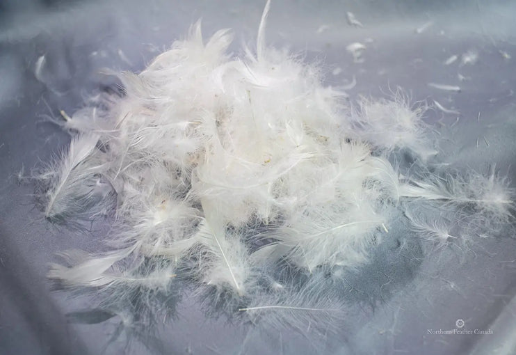 Pile of 10% Down & 90% Feather fill
