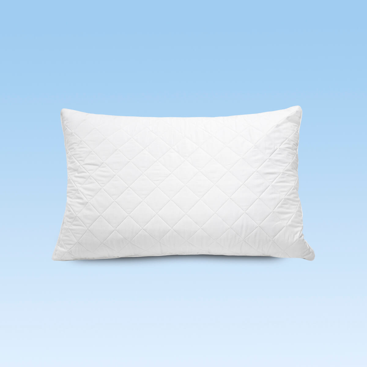 LyoSilk Pillow