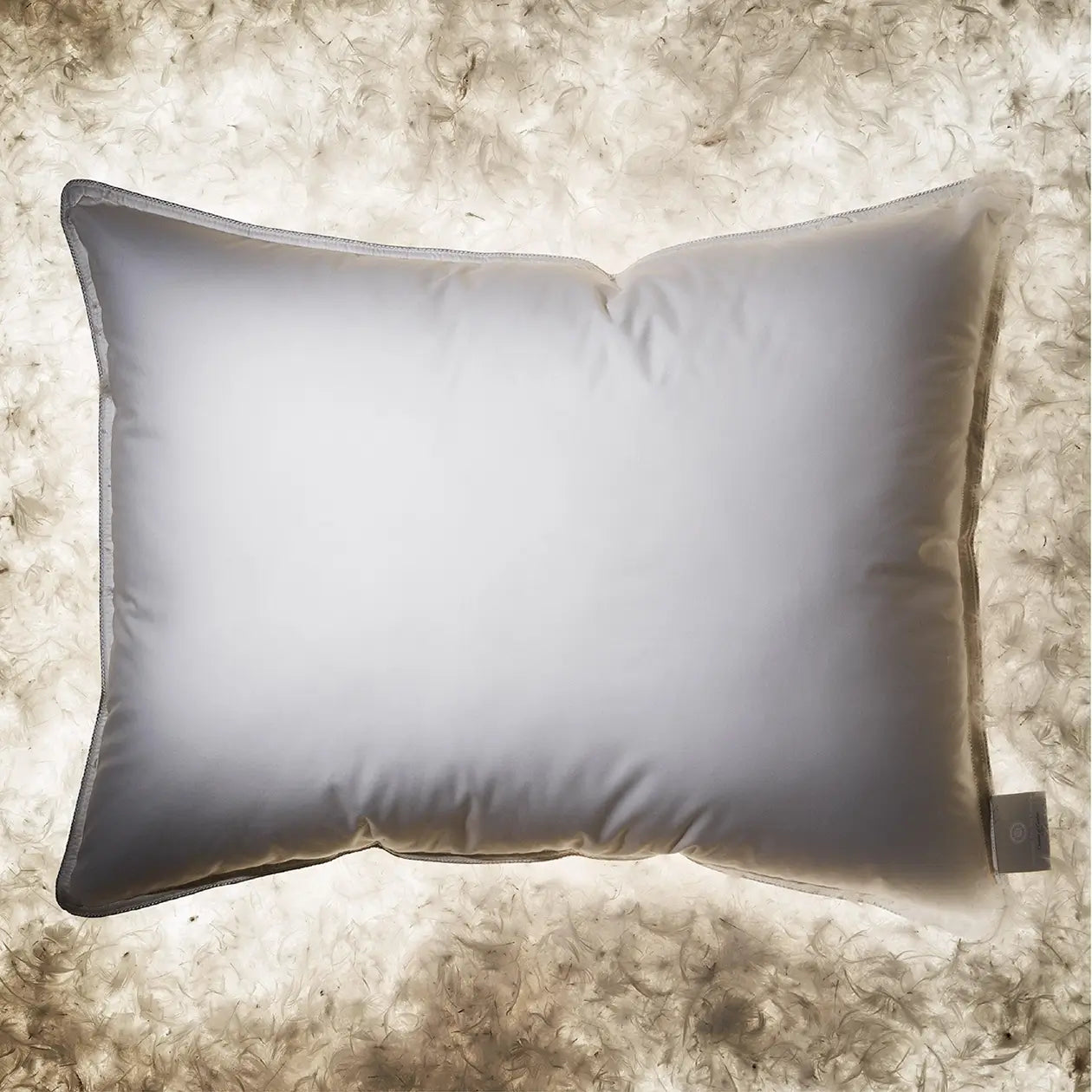 Siberian Moscovy Down Pillow