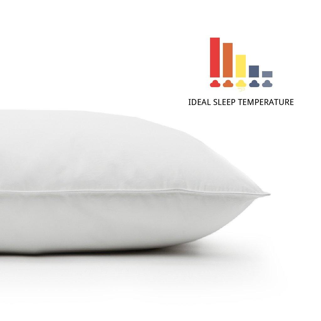 Temprabalance Pillow - Northern Feather Canada eStore